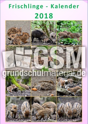 Frischling-Kalender_2018.pdf